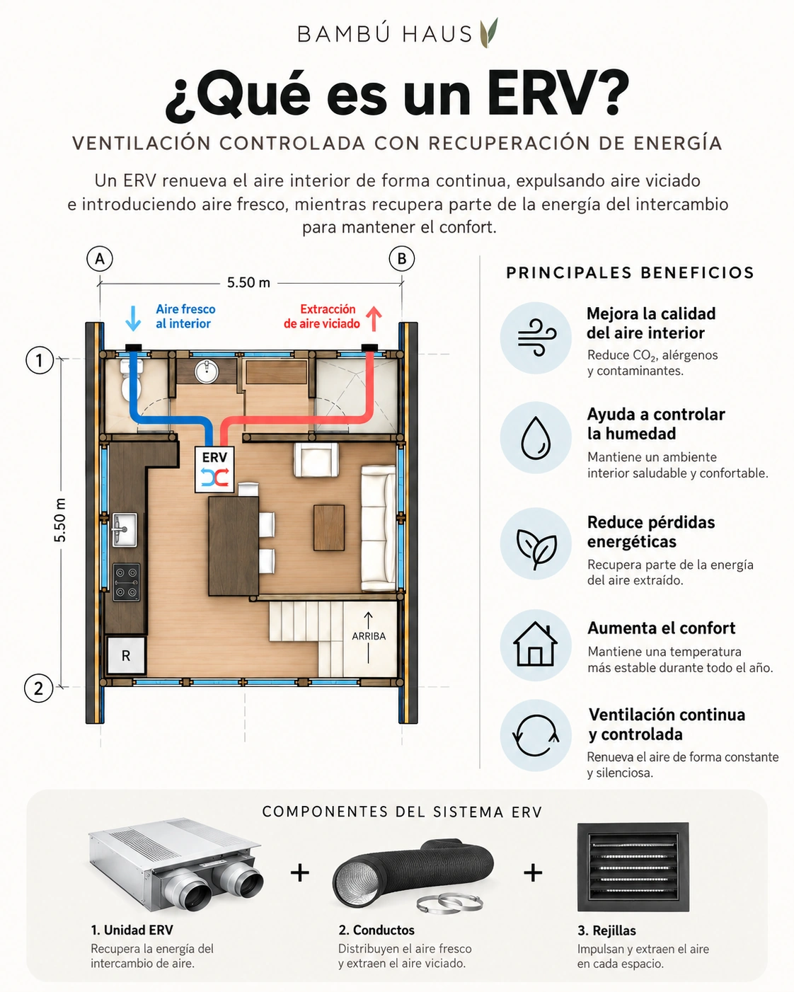 Infografía explicativa sobre qué es un sistema ERV